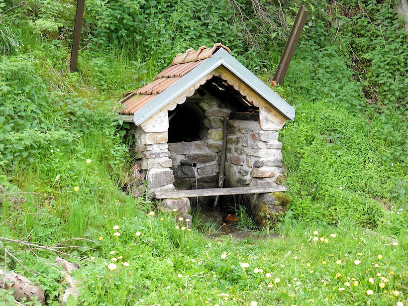 studánka V Ledničkách (919)
