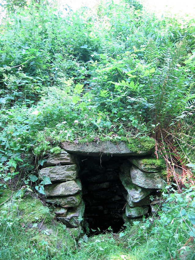 studánka Pod Chalupami (921)