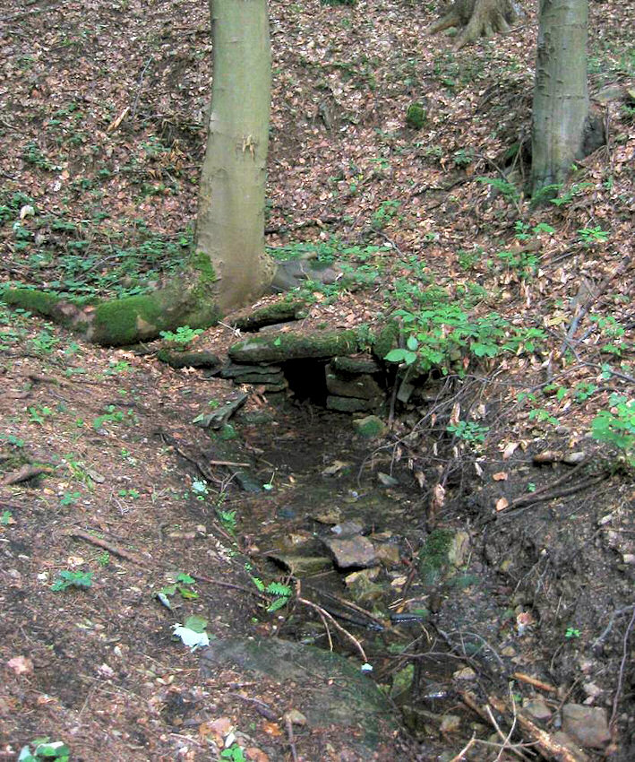 studánka Zumberk (925)
