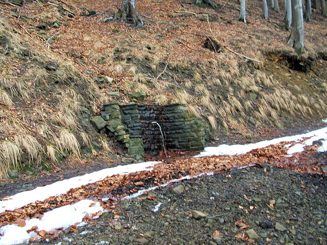pramen Štěpánova studánka (930)