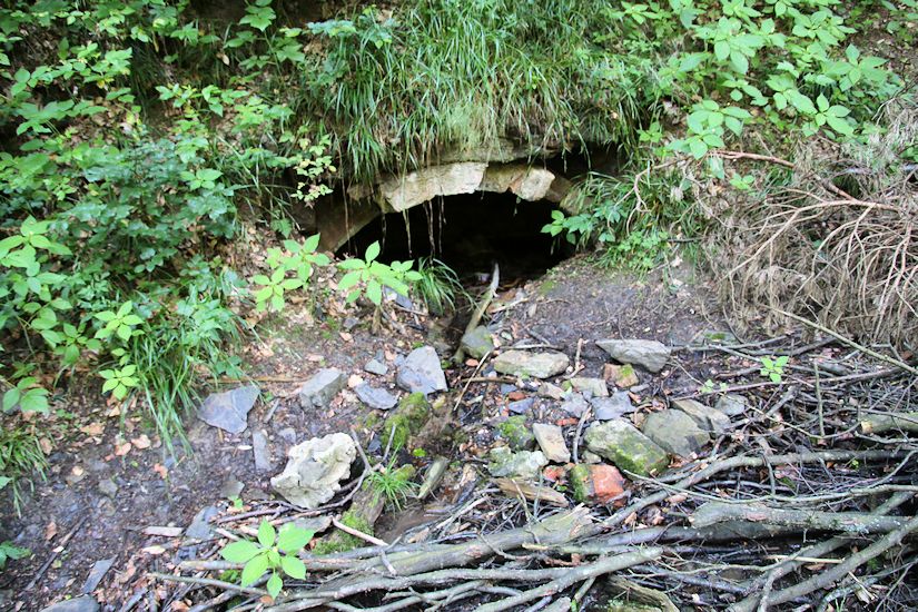 studánka U Kadlcova mlýna (932)