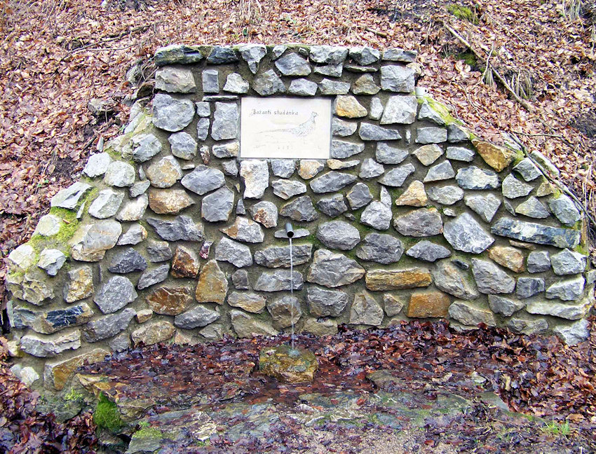 studánka U Kalicha (Bažantí) (933)