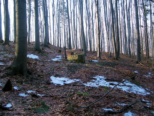 jiný vodní zdroj Prašivá (941)