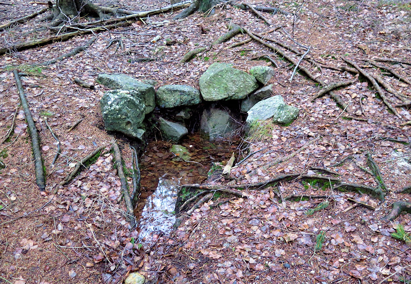 studánka Na Žďáru - západ (948)