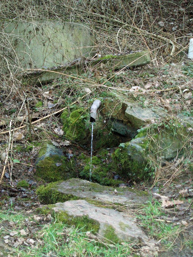 studánka Dobrá voda (964)
