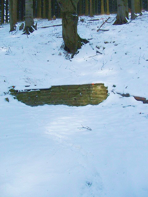 Jelení studánka (966)