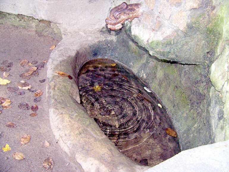 studánka U Antoníčka (972)