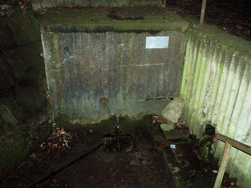 studánka Blaženka (973)