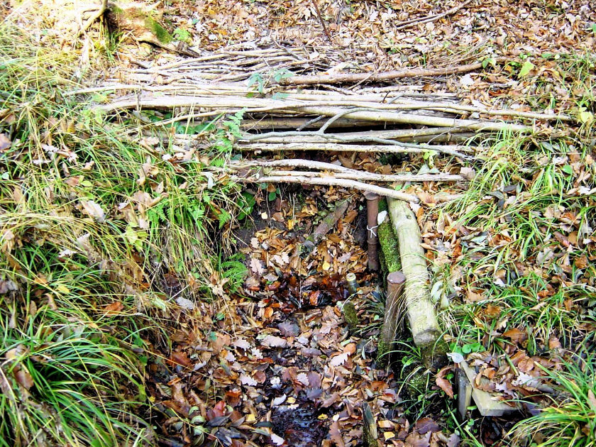 studánka Na Rokli (983)