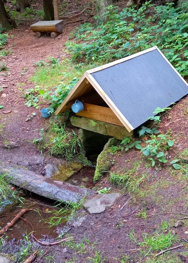 studánka Pod Jelení skálou (991)