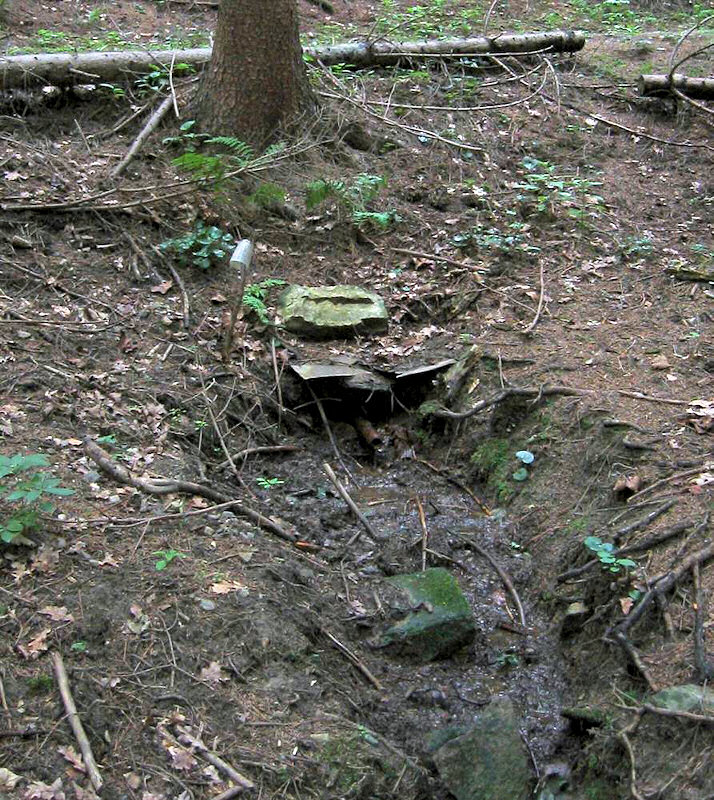studánka bez jména (994)