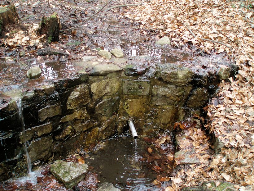studánka Žalmanova (995)