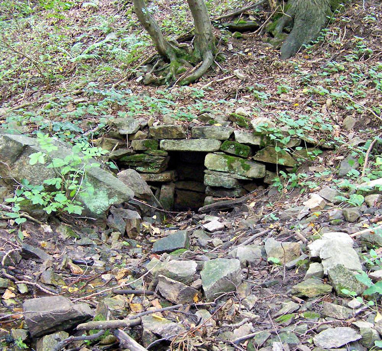 studánka U Chlébského (998)