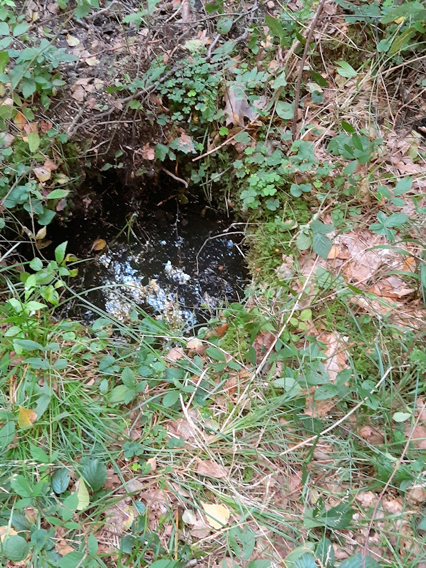 studánka Za hájenkou (13507)
