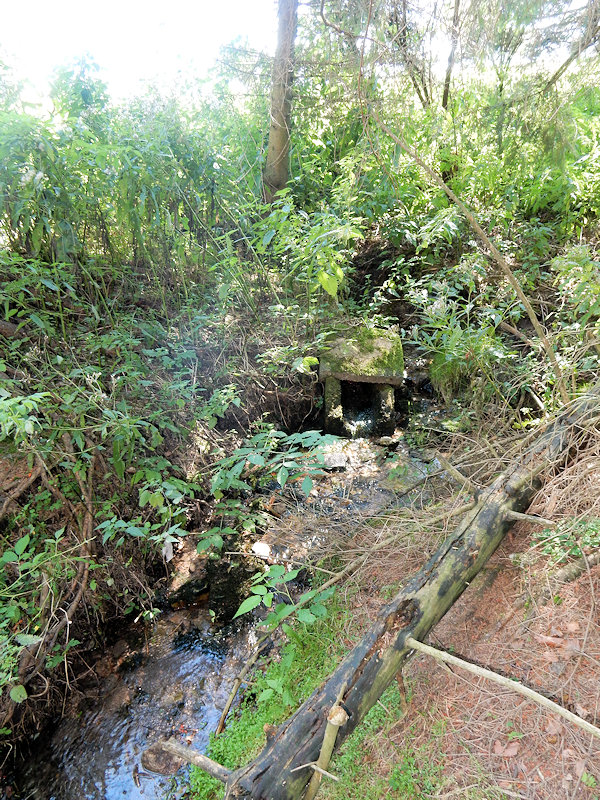 studánka Černý potok (13518)