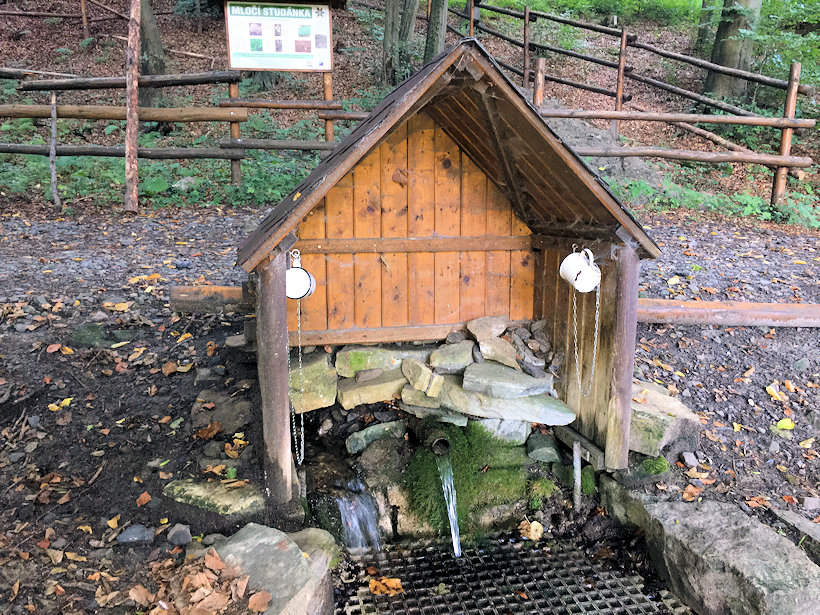 Mločí studánka (13524)