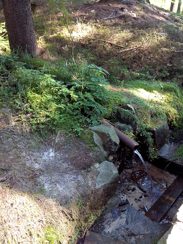 studánka Za Františkovou chatou (13538)