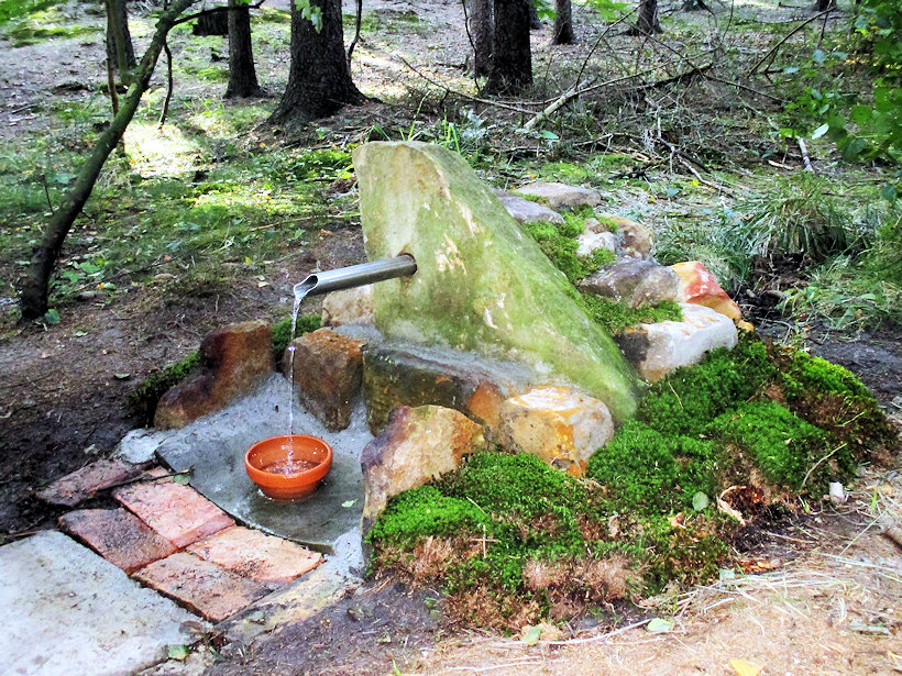 studánka Jana (13546)