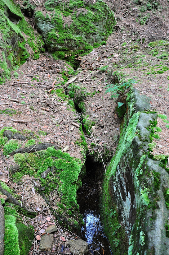 studánka Tulácká (13551)
