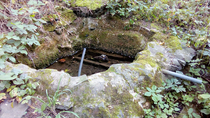 studánka bez jména (13552)