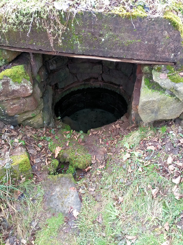 Litičská studánka (13556)