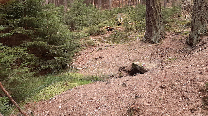 studánka U Ledkovy Huti (13564)