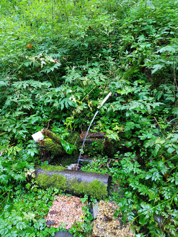 studánka V Korejtkách (13567)