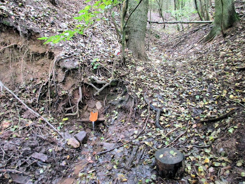 Adamova studánka (13570)