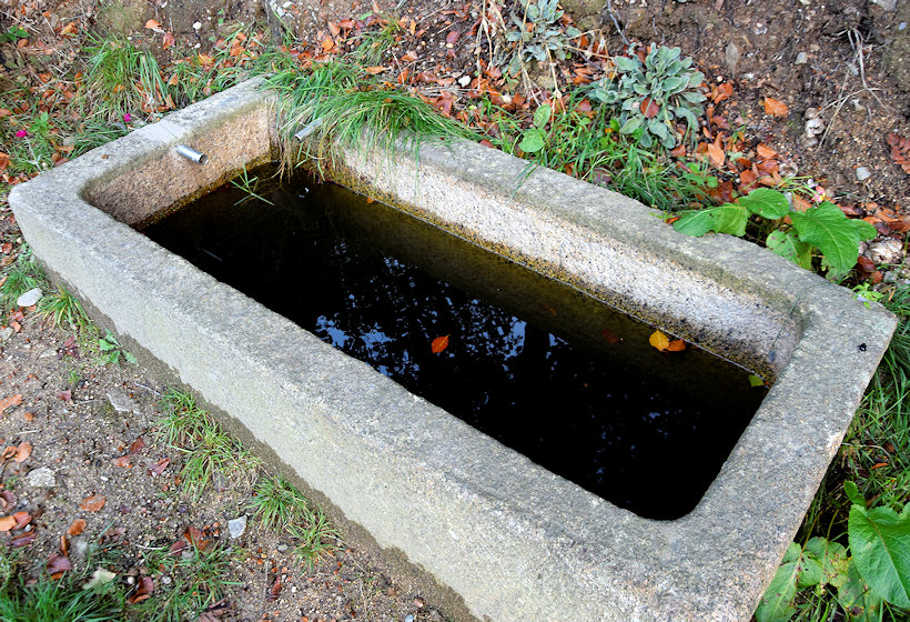 studánka Království (13571)