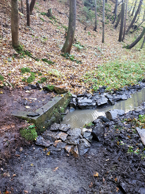 studánka František  (13575)
