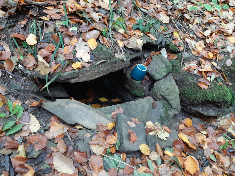 Maminčina studánka (13597)
