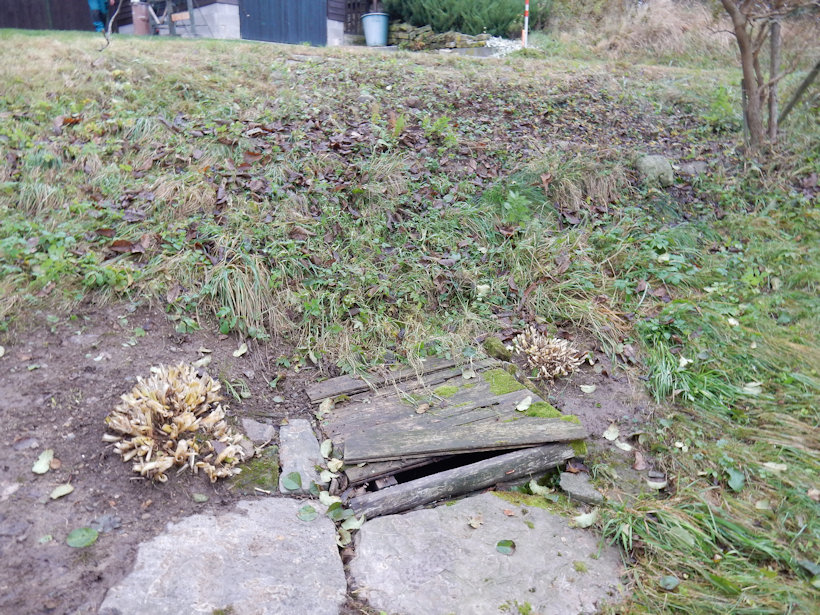 Kunačická studánka 2 (13603)