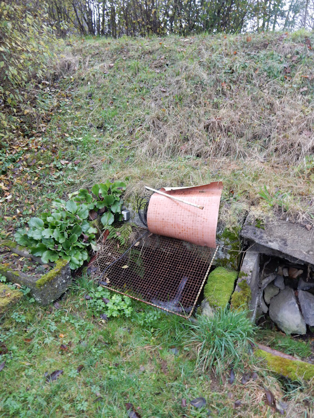 studánka Pod silnicí (13604)
