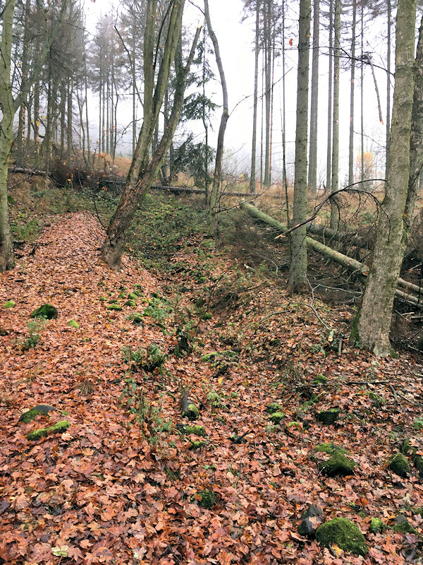 prameniště Modla (13611)