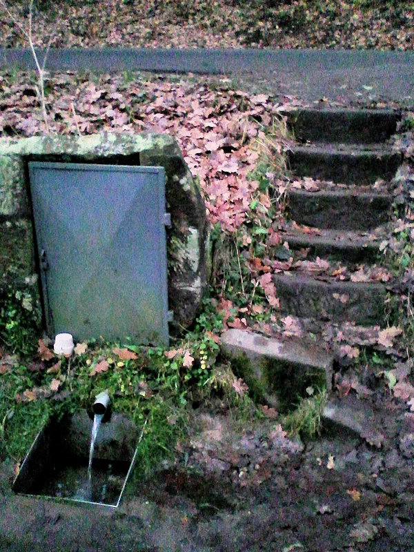studánka bez jména (13629)