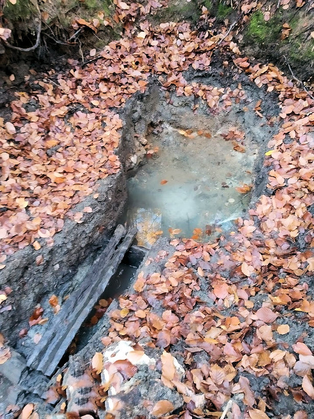 pramen Anenská studánka (13630)