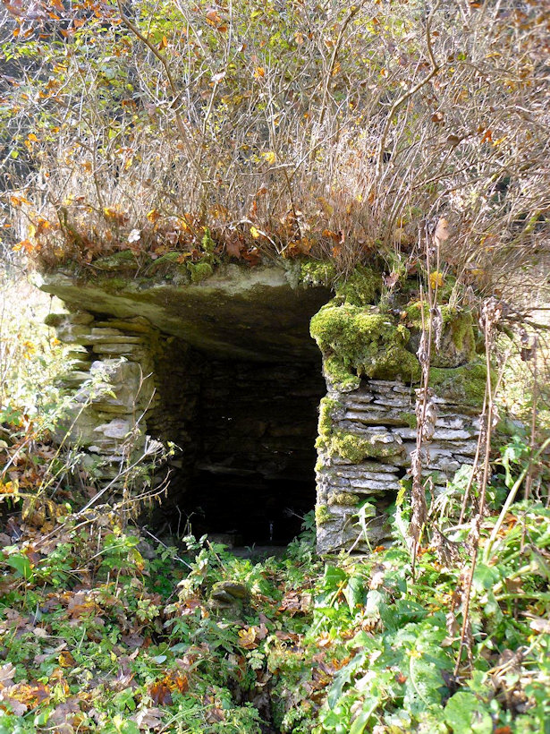 studánka bez jména (13636)