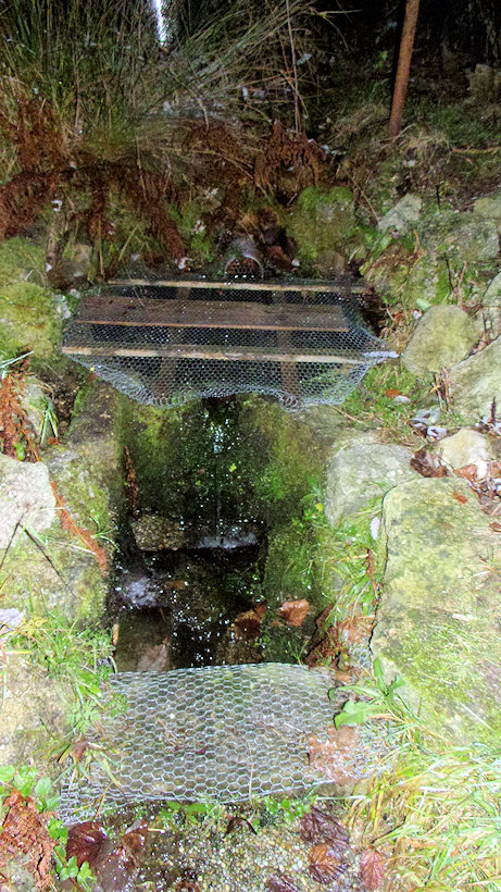 Kamenná studánka (13640)