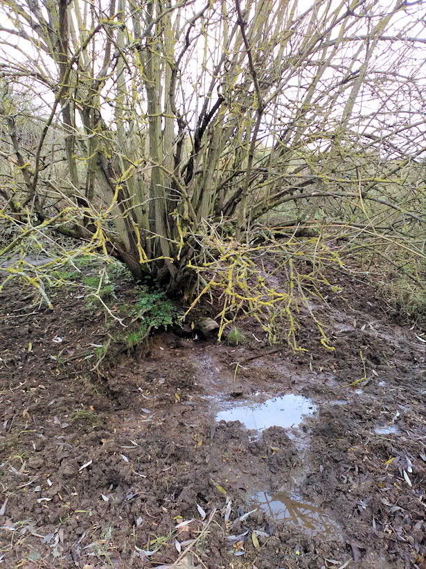 studánka Na Příčce (13645)