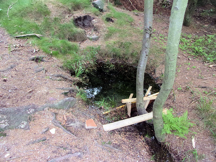 Jahodová studánka (13646)