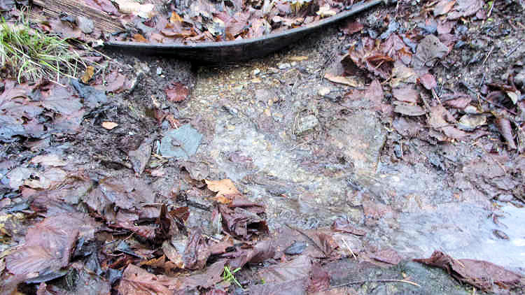 studánka Pod transformátorem (13659)
