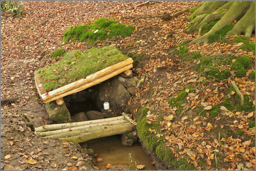 pramen Roverská studánka (13664)