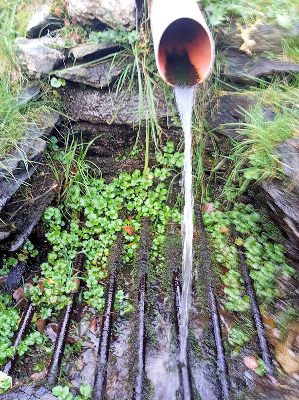 studánka V Sokolím dole (13667)