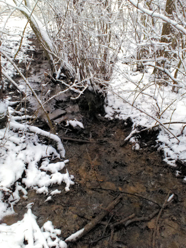 studánka Nad Boří (13679)