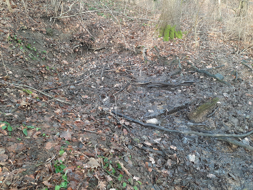 prameniště Nad Jakubovým jezerem (13680)