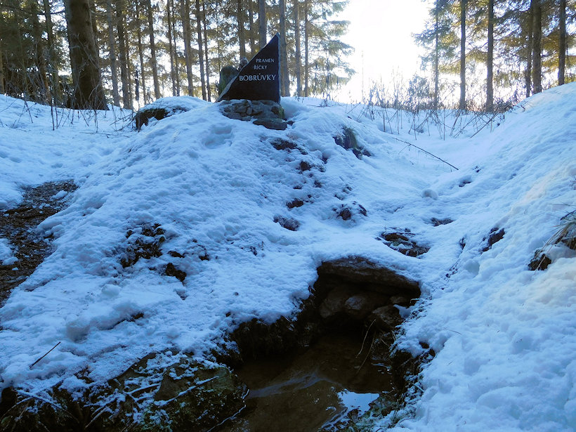 studánka pramen Bobrůvky (13683)