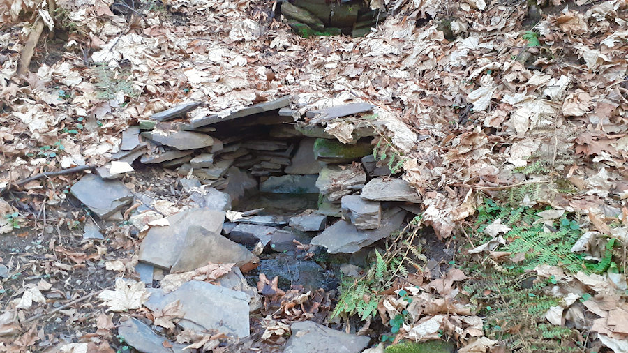 studánka bez jména (13706)