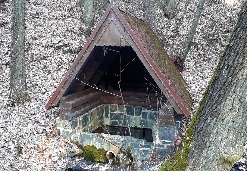 studánka bez jména (13711)