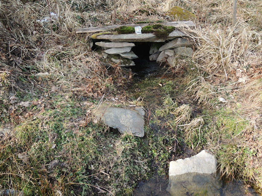 studánka V Horním lese (13712)