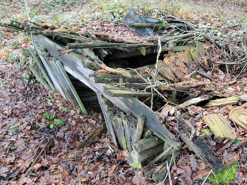 studánka V Zátiší (13713)